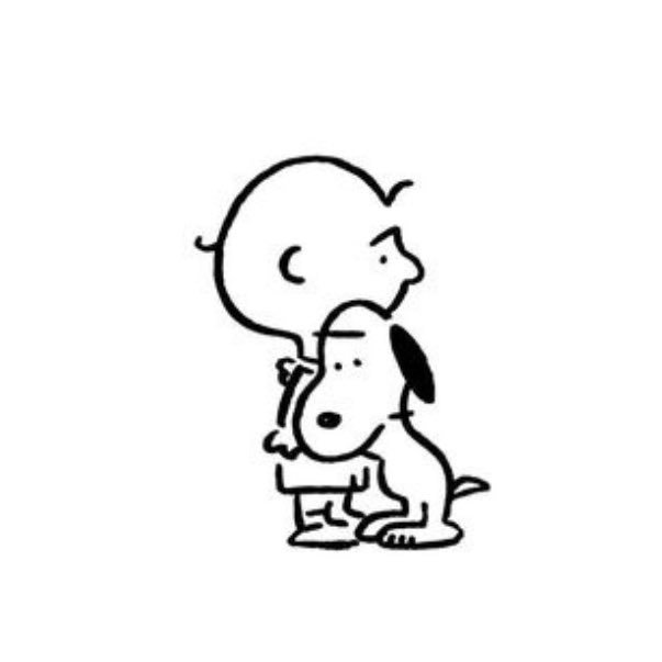 skr_icj's profile picture. 