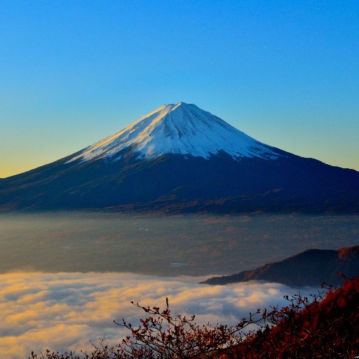 tonychg1's profile picture. 