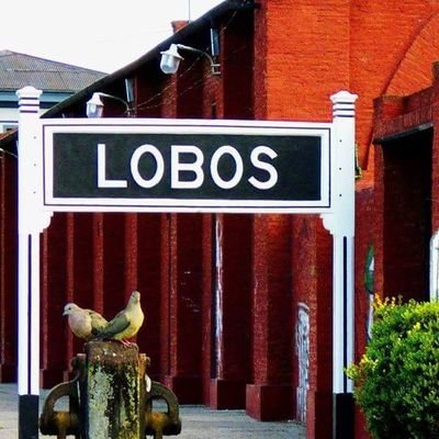 lobosciudad's profile picture. El lugar donde nací, mi infancia y mi adolescencia.