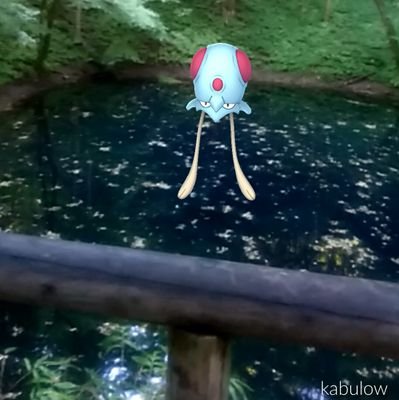ポケモンgo 秋田活動中 Vkmtgdw Twitter
