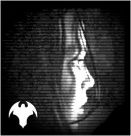 I work at The Dutch Paranormal Society I'm a ghosthunter from the Netherlands.