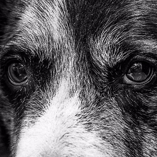 GordonAllan_esq's profile picture. 