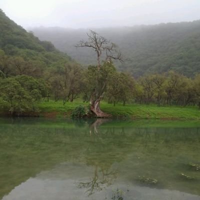 hajsy's profile picture. من لم يتخذ القناعة جزءا من.  حياته، لن يرضى بشيء..
 ولن يرى الحياة بشكل أجمل