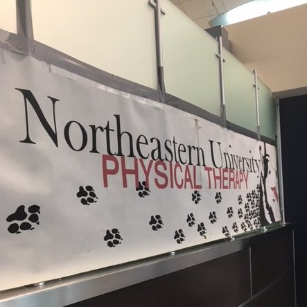 Official news and updates from #Northeastern University Department of Physical Therapy, Movement and Rehabilitation Sciences. #NortheasternDPT