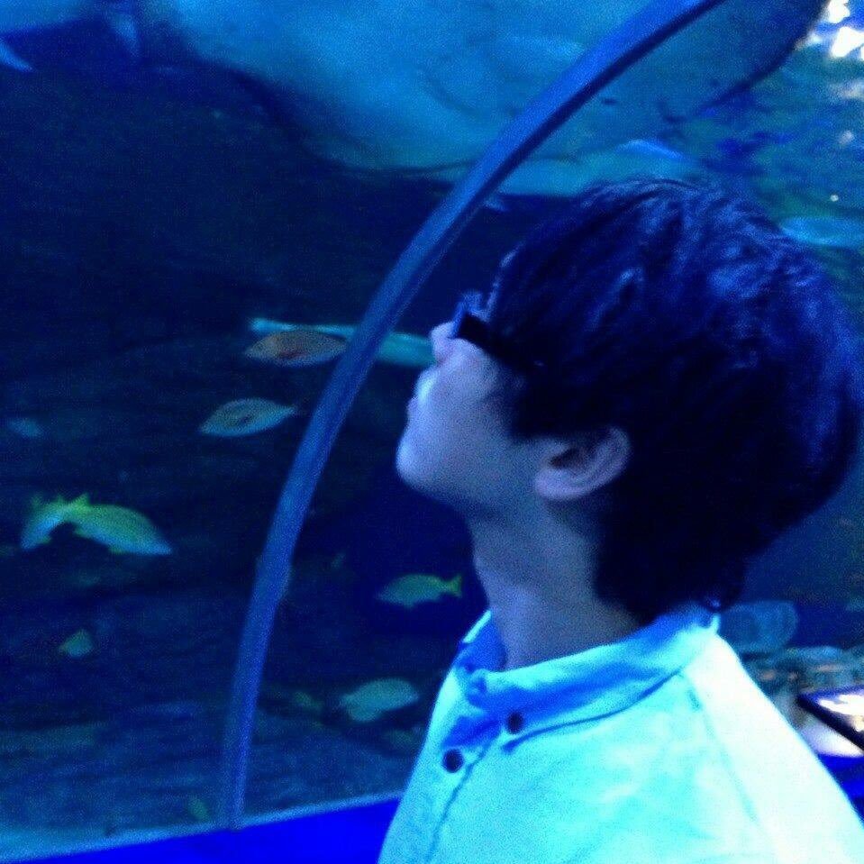 bt_sy12's profile picture. 介護士してます。よろしく！ ぶーさんとも言います。R6S、CODやってます。                                            NO MUSIC NO LIFE！とくに洋楽メタル好き。