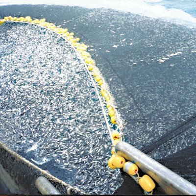 Stop overfishing!!!!!