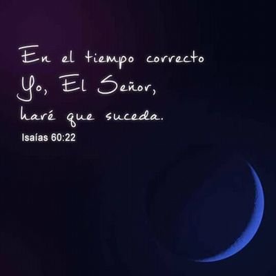 RubenRolon16's profile picture. 