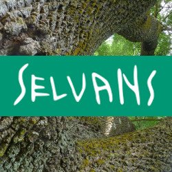 #Sèlvans works to protect the most mature forests, and give value to their ecosystem services, also related to human health and wellbeing.