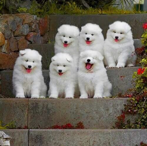 fabulousneo1's profile picture. 