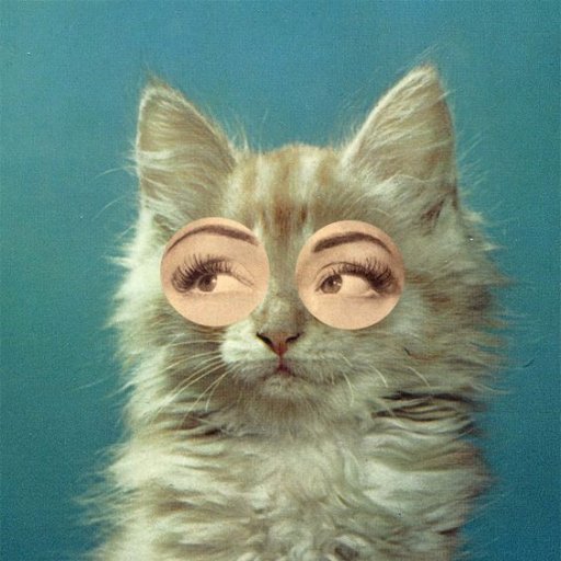 grito_y_cristal's profile picture. 