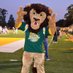 Roomie the Lion (@roomiethelion) Twitter profile photo Roomie the Lion (@roomiethelion) Twitter profile photo