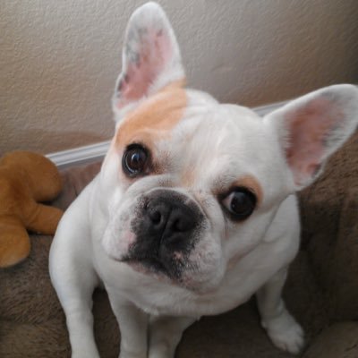 MountainChap's profile picture. Tesla enthusiast with my 2025 Model 3; Buc-ee’s fan; Dad of 3, married, living in TX/CO/NC/KS/Deutschland