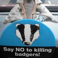 Clive Swinsco (@cliveswinsco) 's Twitter Profile Photo Clive Swinsco (@cliveswinsco) 's Twitter Profile Photo
