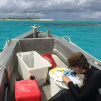 Lisa (@abbystudiesfish) 's Twitter Profile