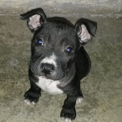 ngelxvargas's profile picture. 