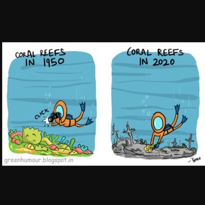 help save our ocean from CO2 #shooshooCO2