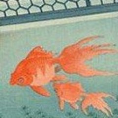 tanziさんのプロフィール画像