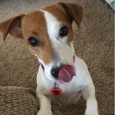 JoannaBond18's profile picture. 