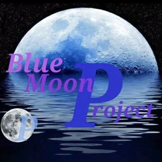 TheBlueMoon8867's profile picture. Gaming Channel