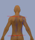 Chiropractic Patient Education Software