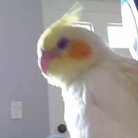 Isaac's Science School Bus (@isakoramirez) 's Twitter Profile