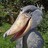 twbinary's profile image