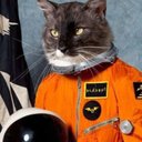 Aaron Conn - @TeamBeard85 - Twitter