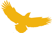 hccsalerts's profile picture. 