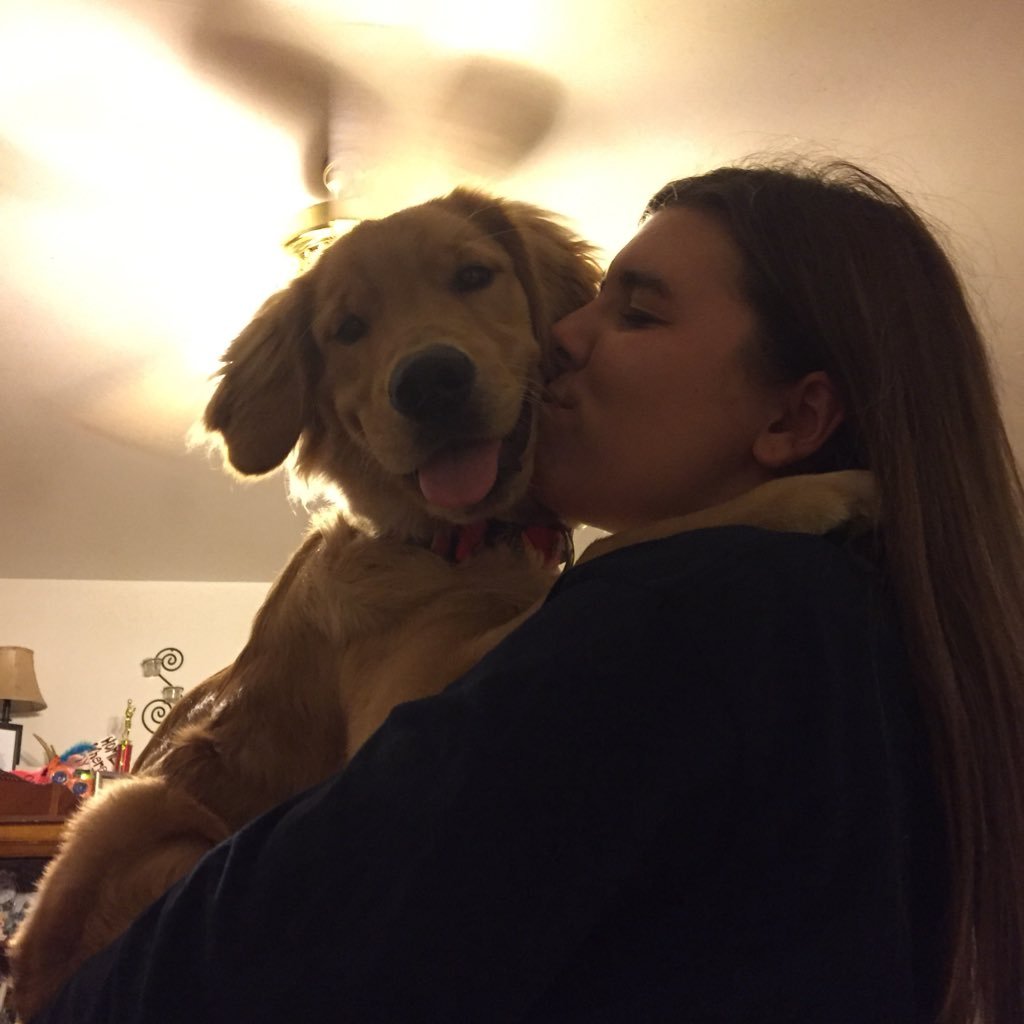 Jordasaurus_Rex's profile picture. Awkward Turtle. Hit by @evan_ambro drumstick on 9/14/17. Got punched in the face over @AlexAllTimeLow sweat towel on 4/6/18