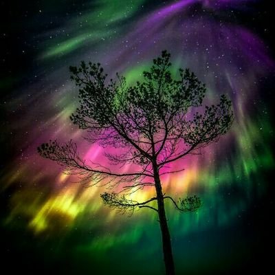 DeepThoughts239's profile picture. Reflexiones
SpeakYourMind
Let your spirit fly