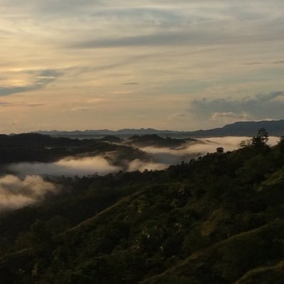 sam2x1991's profile picture. alter for hire