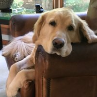 mike hurley (@mhurleymike) 's Twitter Profile