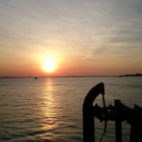 ひとし (@javajavaza) 's Twitter Profile