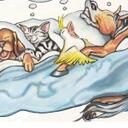 Jami Benton - @Happypawspsb - Twitter