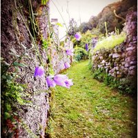 Ecoturismo FVG (@ecoturismofvg) 's Twitter Profile