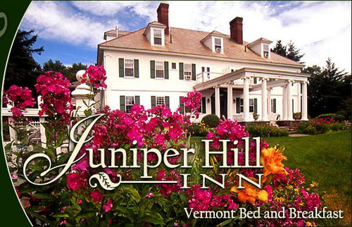 juniper hill novel juniper hill novel