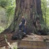 clay_keller's profile picture. IT Security, Threat Intelligence, Vulnerability Management, container security, cloud security, MBA, SSL/TLS, 20 years at Walmart, 5 at Oracle, Views my own.