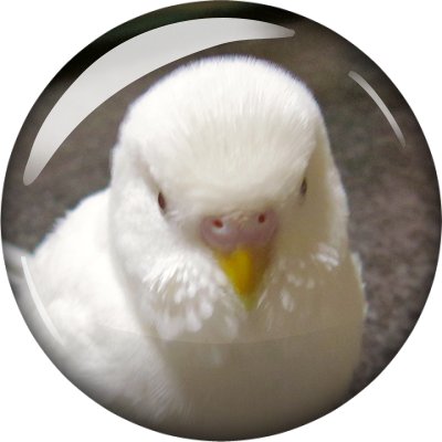 ゆうとさんのプロフィール画像