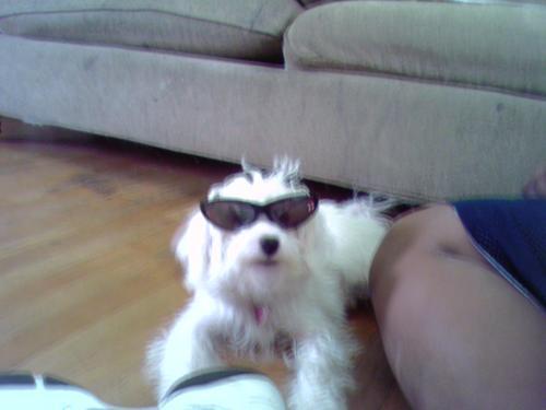 midrivas's profile picture. 