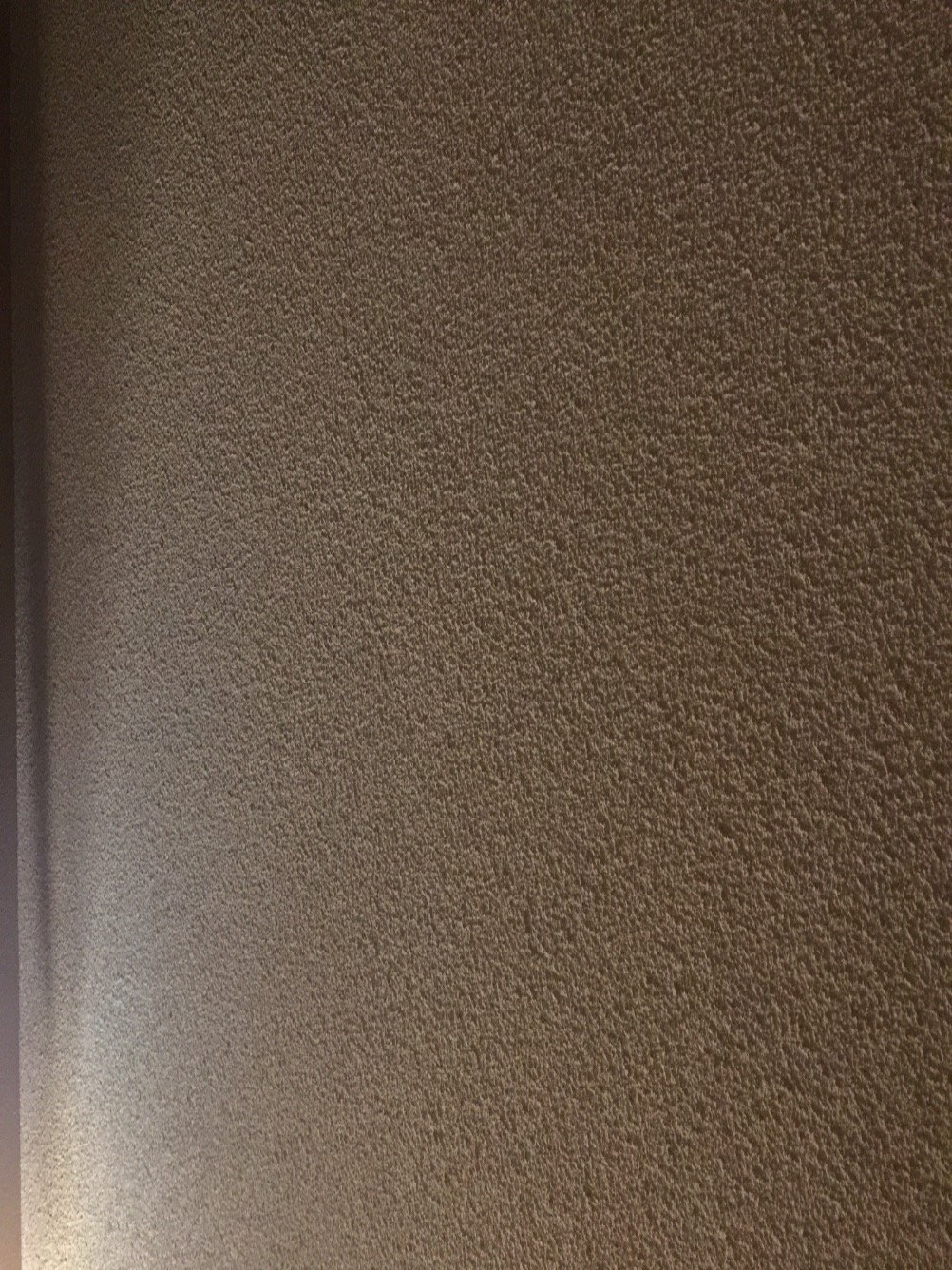 AvrilNewell's profile picture. 