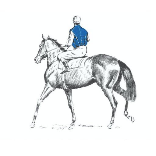 WertheimerSales's profile picture. The latest news about horses of racing age and breeding stock offered at auction by Wertheimer et Frère