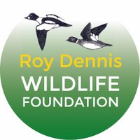 Roy Dennis Foundation(@RoyDennisWF) 's Twitter Profile Photo