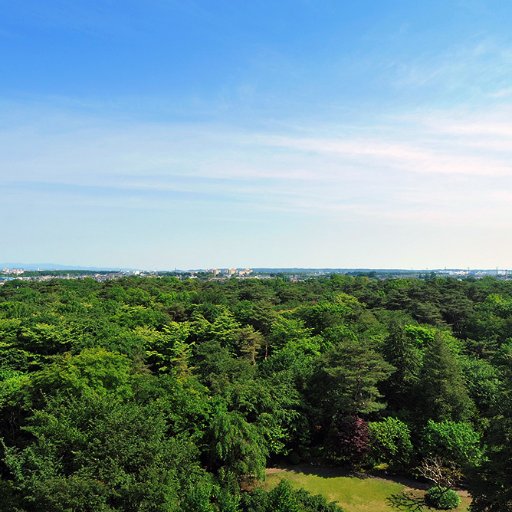 klchmlktiara's profile picture. 