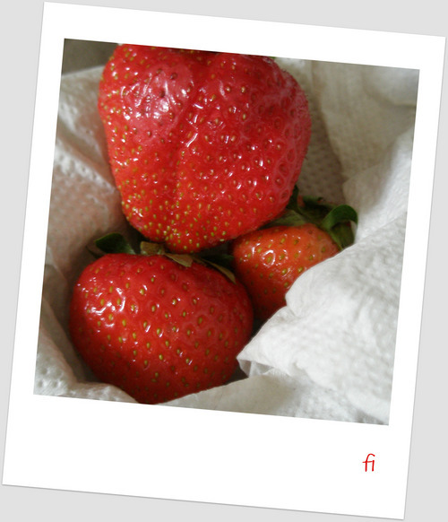 fitalks's profile picture. 