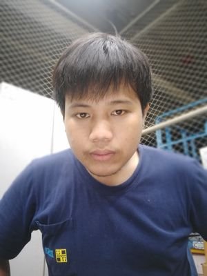 โสดวัวตายควายล่ม