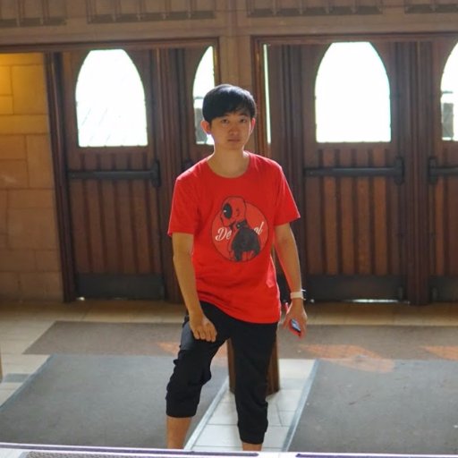 vinathegamer's profile picture. CEO of Next2P(Publisher & Media)  Always doing PR & Marketing in China.