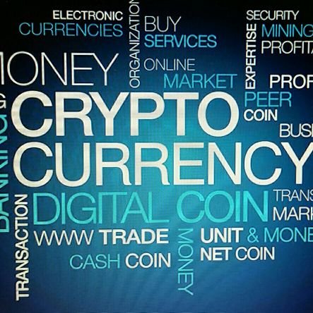 Crypto_scanner's profile picture. Business Informatics, investor