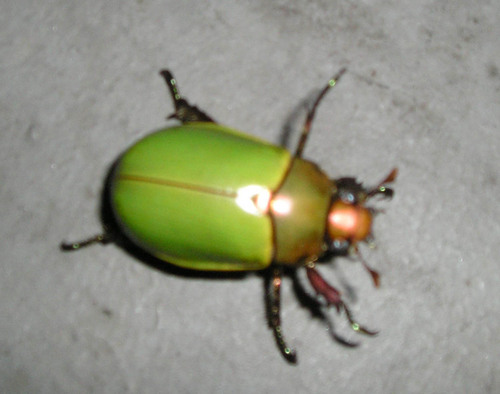 MsBitter's profile picture. In perpetual search for vestiges of Old New York. In the mean time, training for a half marathon and making a living as a filmmaker.