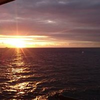 まさ (@mshammerjmsdf) 's Twitter Profile