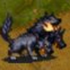 わんわんさんのプロフィール画像